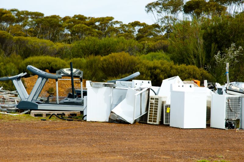 Junk Disposal detail